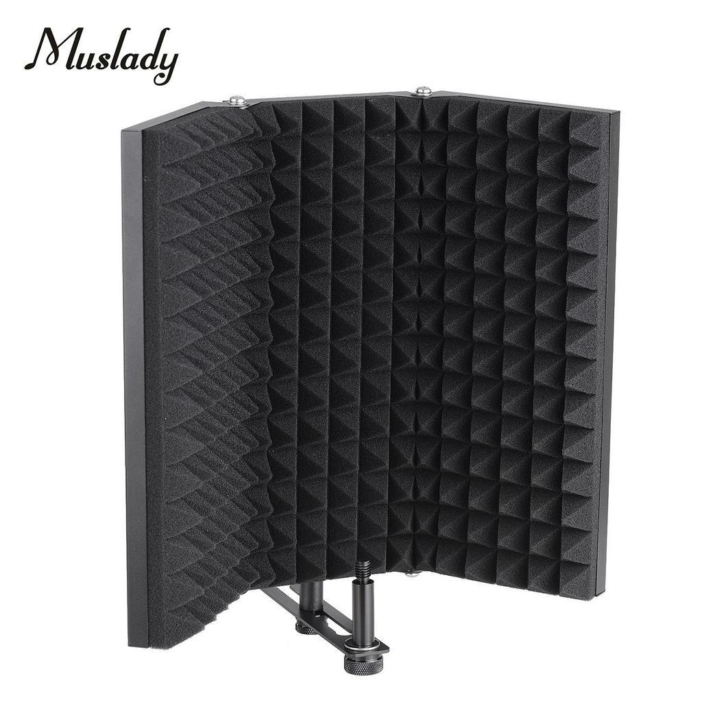 Professional Studio Recording Microphone Isolation Shield Pop Filter
