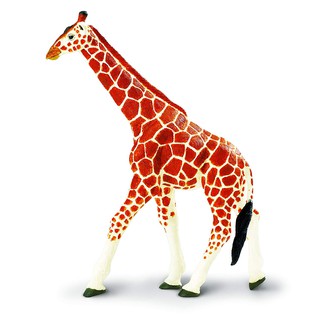 Safari Ltd. : SFR111189 โมเดลสัตว์ WW Reticulated Giraffe