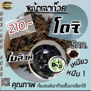 *H o t S a l e s* ใบเฉาก๊วยล้วนแท้ โดจิ หญ้าเฉาก๊วย ทำเฉาก๊วยเหนียวหนึบ คุณภาพดีที่สุดเกรดพรีเมี่ยม