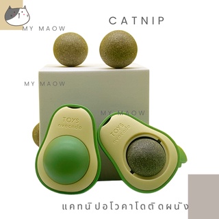 MM CAt // ของเล่นแมว แคทนิปติดผนัง แคทนิปอโวคาโด ของเล่นฟิน