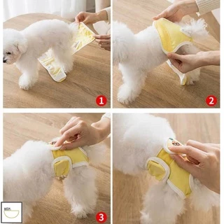 FurryCuddle พร้อมส่ง ชุดอนามัยสุนัข ผ้าอ้อมสุนัขตัวเมีย ซักได้ ใส่เวลาเป็นประจำเดือน กางเกงฮีทหรือกันการผสมพันธุ์ MIP118