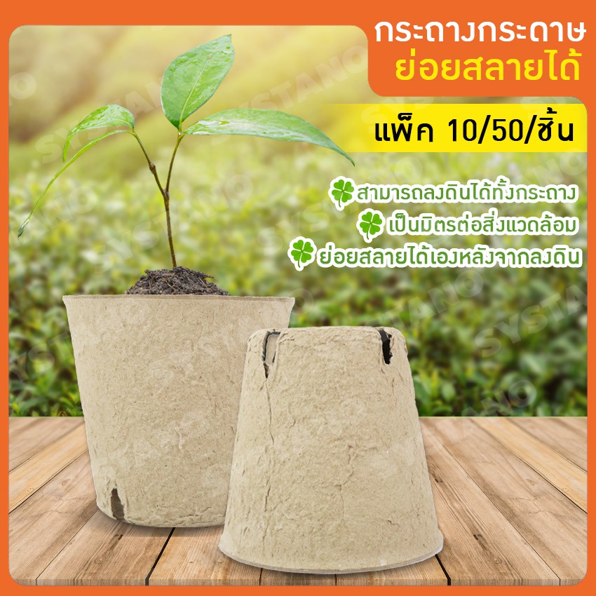 Systano (ส่งจากไทย) กระถางต้นไม้ กระถางเพาะชํา กระถางกระดาษ ย่อยสลายได้ ปลูก ต้นไม้ ต้นแคคตัส KS024 KS025 KS026