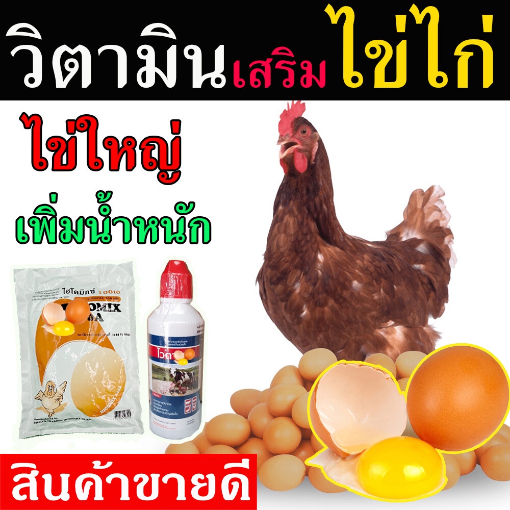 (พร้อมส่ง) ชุดบำรุงไก่ไข่ แร่ธาตุไฮโครมิกซ์ 1+ วิตามินไวตาเวท บำรุงไข่ไก่ ยาบำรุงไข่ไก่ ยาไก่ อาหารเสริมไก่ไข่