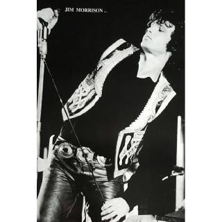 Jim Morrison (l)(g), โปสเตอร์นักร้องต่างประเทศ AM/EU