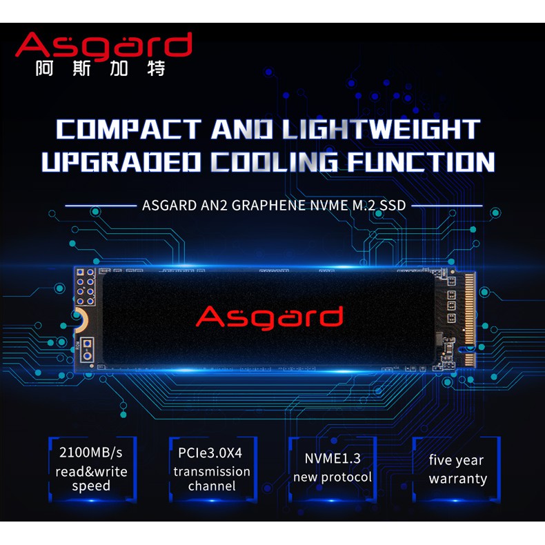 Asgard M.2 PCIe SSD 250gb 500gb 2TB SSD