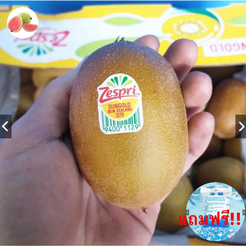 Guava top1กีวี่ทอง KIWI Zespri SunGold (ยกลัง44-52ลูก) (NewZealand) ~ลดพิเศษ~ กีวีสด กีวี่สด กีวีสีท