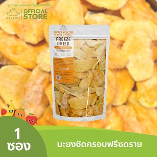 ตลาดไทย มะยงชิดฟรีซดราย Premium Freeze Dried Marian Plum เกรดส่งออก กรอบ อร่อย ฟรีซดราย