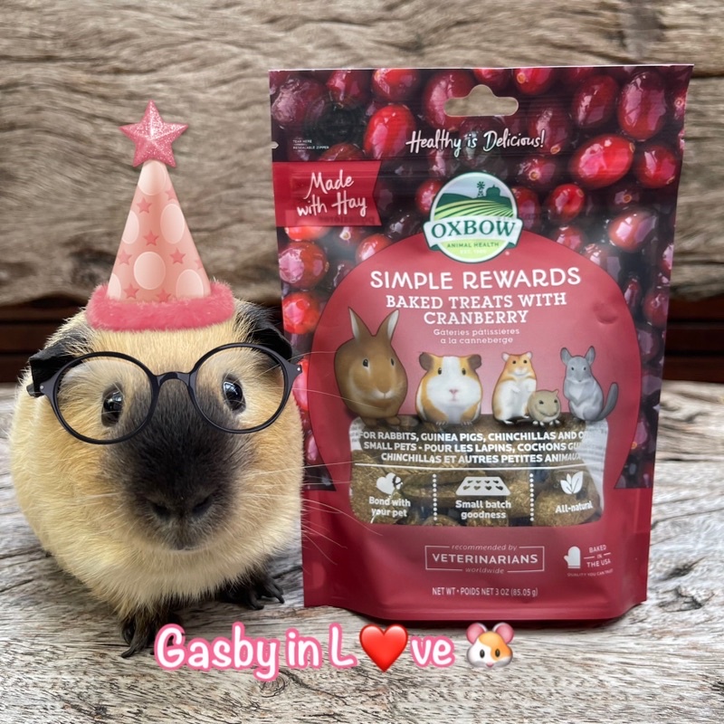 Oxbow treat ขนมคุ้กกี้ สำหรับสัตว์ฟันแทะ ขนาด 3 ออนซ์ รสแครนเบอร์รี่  ❤️ ราคา ถูกที่สุด ดีลบีเคเค รูปภาพหลัก