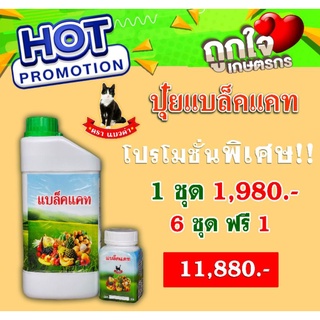 แบล็คแคท โปร 6 แถม 1 ธาตุอาหารรองอาหารเสริม สร้างความสมบูรณ์อย่างเร่งด่วน ตราแมวดำ