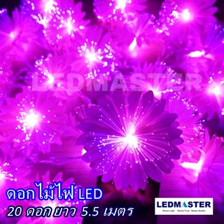 ตรุษจีน วาเลนไทน์ ดอกไม้ไฟ LED flower light จำนวน 20 ดอก สายยาว 5.3 เมตร