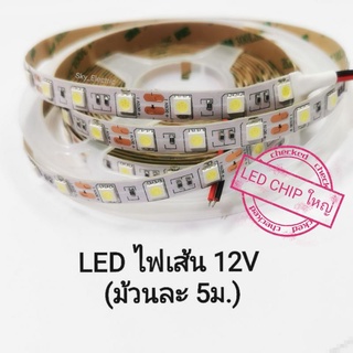 (พร้อมส่ง) ไฟเส้น LED 12V ยาว5เมตร LEDเม็ดใหญ่ มีแสงขาว และวอร์มไวท์