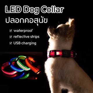 ปลอกคอสุนัขเรืองแสง ปลอกคอสุนัข ปลอกคอหมา ปลอกคอหมาเรืองแสง ไฟ LED flash dog band ปรับความยาวได้