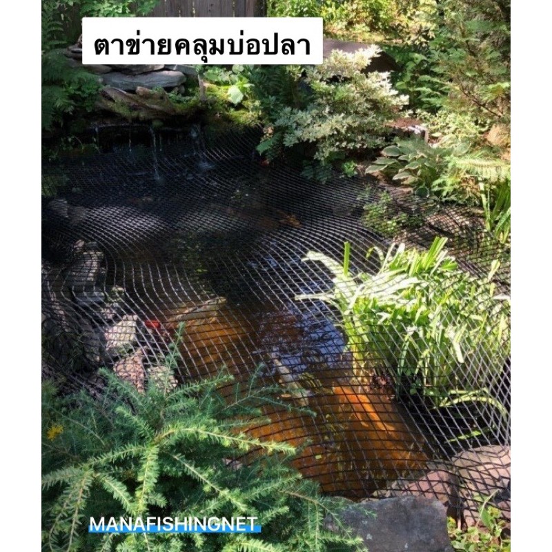 ตาข่ายคลุมบ่อปลา อ่างเลี้ยงปลา ในสวน ป้องกันนก ป้องกันใบไม้ล่วง ขนาด2x4เมตร / 3x3เมตร /ขนาดใหญ่ 6x7เมตร Fish Pond Net