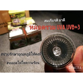 หลอดไฟกกให้ความอบอุ่น  UVA UVB+3