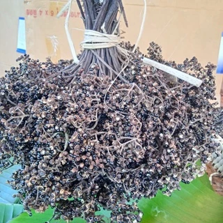 มะแขว่นหอมตากแห้งแบบติดก้าน500กรัม,เครื่องเทศเกรดส่งออก,เก็บใหม่ปีนี้ เริ่มเก็บ20ตุลาคม2568รับประกันสดใหม่,กลิ่นหอมมาก