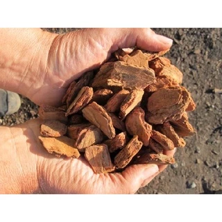 ✅เปลือกสนนิวซีแลนด์(New Zealand Pine Bark)_1ลิตร วัสดุปลูก ไม้ดอก ไม้ประดับ กุหลาบ มอนสเตอล่า