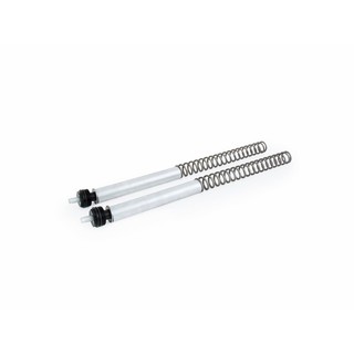 Ohlins Front Fork Spring Kit  XMAX300