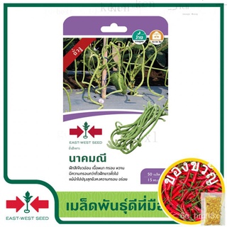 เมล็ดพันธุ์/East-West Seed เมล็ดพันธุ์ ถั่วฝักยาว นาคมณี เมล็ดพันธุ์ผัก เมล็ดพันธุ์ถั่วฝักยาว เมล็ดพันธุ์ ผักสวนครัว ถั่