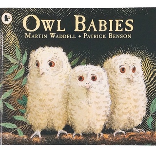 นิทานปกอ่อน Owl Babies เรื่องราวของนกฮูก พร้อมส่ง