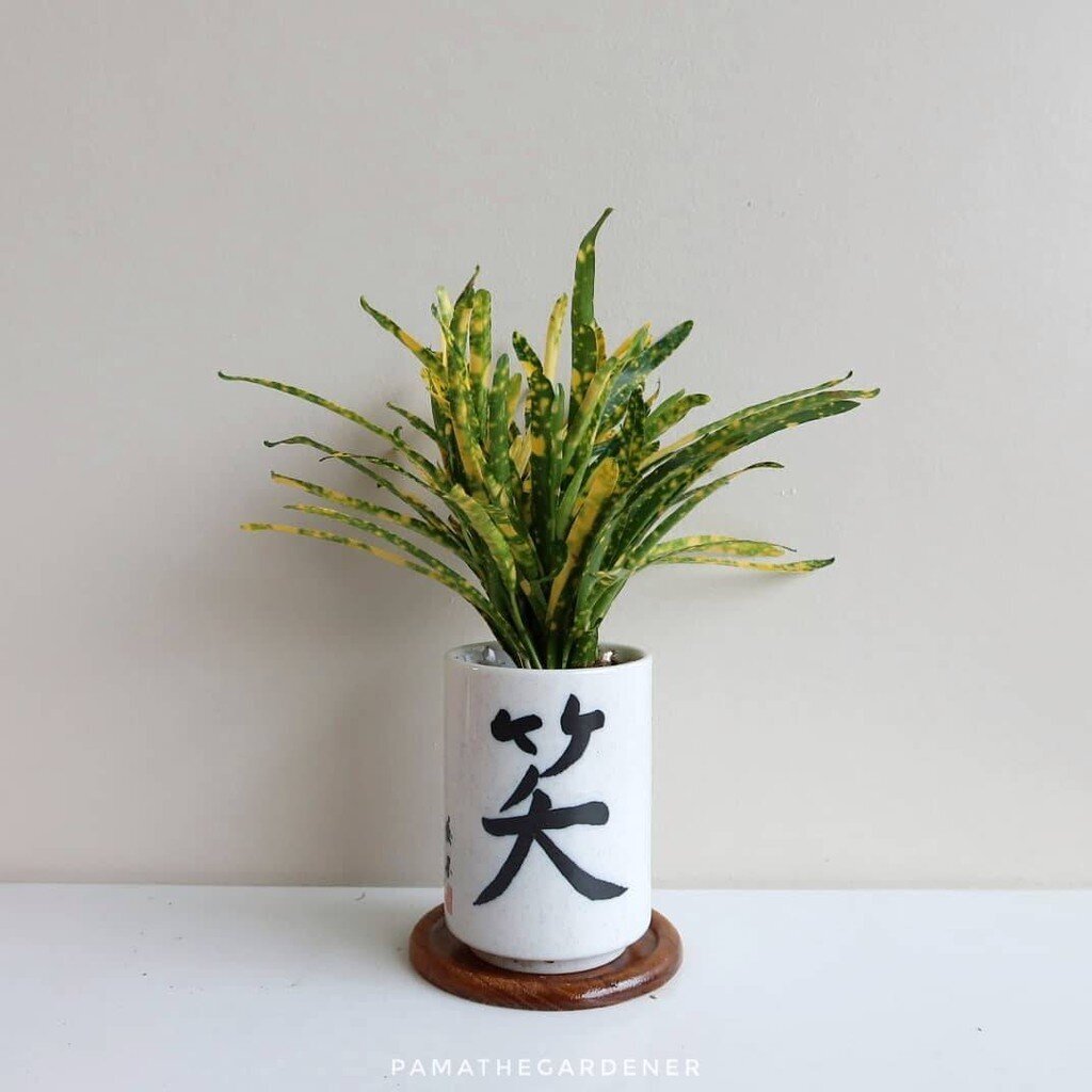 มุมมอง 3