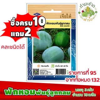 (ซื้อ10แถม2) เมล็ดพันธุ์ ฟักหอม พันธุ์ลูกกลม Wax gourd ประมาณ 75เมล็ด เจียไต๋ เมล็ดพันธุ์พืช เมล็ดพันธุ์ผัก เมล็ดผัก