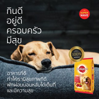 [ ส่งฟรี ] เพดดิกรี®อาหารสุนัขชนิดแห้ง แบบเม็ด สูตรสุนัขโต รสเนื้อวัวและผัก 20กก. 1 ถุง