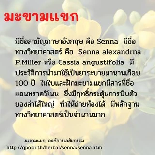 ชา ชง สมุนไพร มะขามแขก กิฟฟารีน Herbal Senna Infusion (Giffarine Brand) ขนาด 20 ซอง