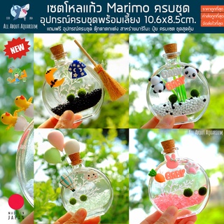 🎁ชุดพร้อมเลี้ยงมาริโมะ Marimo Set ขวดทรงน้ำหอม แถมฟรีอุปกรณ์ครบชุดพร้อมเลี้ยง สาหร่ายตกแต่งตู้ปลา สาหร่ายมาริโมะ ของขวัญ