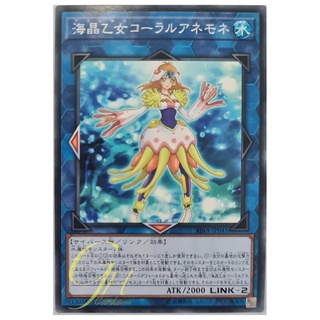 [RIRA-JP041] Marincess Coral Anemone (Common)