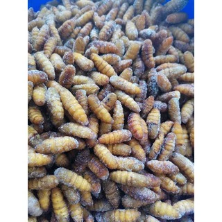 ดักแด้1kgกับจิ้งหรีดไข่1kg​ฟรีค่าลังโฟมครับ​