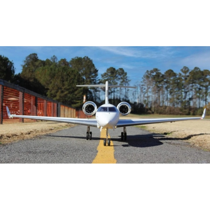 Freewing PJ50 Private Jet Twin 70mm EDF Jet - PNP