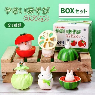 🍅🫑 ของแท้ พร้อมส่ง 🥬🧅  Studio ghibli blind box : Totoro Vegetable  : กล่องสุ่ม โตโตโร่ ผักสวนครัว ปี 2021