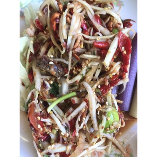 ส้มตำ ตำส้ม ตำผสม ตำปูปลาร้า ของเด็ดเมืองสุรินทร์ แท้ 100% ประสบการณ์20ปี กรอบ สด ใหม่ ยำ ทานกับ ปลาหมึก หอย กุ้ง ก็ดี