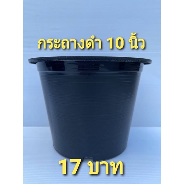 กระถางพลาสติกดำ ขนาด 10นิ้วใบละ 17 บาท แพ็ค 5 ใบ พลาตติกเกรด AAA