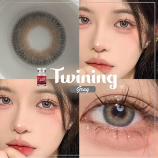 ✨  Twining gray (Lovely lens) ขนาดมินิ Mini ✔️เลนส์จดทะเบียนเป็นเครื่องมือทางแพทย์ 🇰🇷เลนส์เกาหลีนำเข้าถูกต้อง🇰🇷