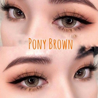 🦄Pony Brown/Gray (Montra) คอนแทคเลนส์ (contactlens) มีค่าสายตาสั้น 0.00 ถึง -6.50