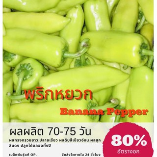 เมล็ดพันธุ์ พริกหยวก Bell pepper พริก ✅ราคาถูก🪴ปลูกง่าย ปลูกไว้ทานกินเอง🔥ซื้อ10แถม1 คละได้🔥