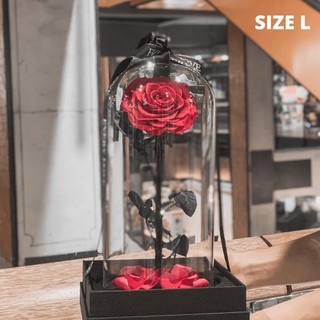 Preserved Rose (Size L) กุหลาบในโหลแก้ว (สูง 32 cm) ดอกกุหลาบอมตะ ดอกกุหลาบ ของขวัญวันวาเลนไทน์ ของขวัญให้แฟน