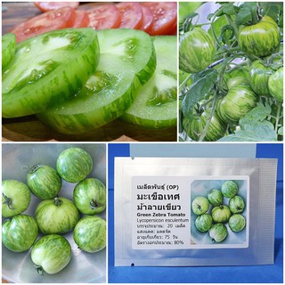 เมล็ดพันธุ์ มะเขือเทศ ม้าลายเขียว (Green Zebra Tomato Seed) บรรจุ 20 เมล็ด คุณภาพดี ราคาถูก ของแท้ 100%