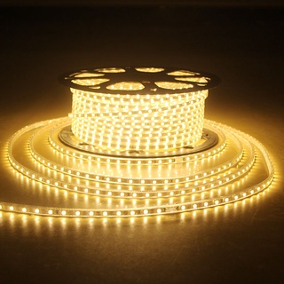 ไฟเส้นยาง แบน ยาว 10 เมตร ไฟเส้นยาง LED ROPE LIGHT (ฟรีปลั๊ก สําหรับสายยาง)