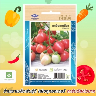 มะเขือเทศสีดา เจียไต๋ เมล็ดพันธุ์มะเขือเทศ tomato