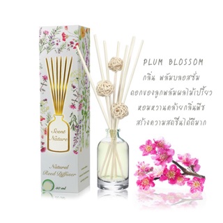 น้ำหอมไม้ปักอโรม่า กลิ่น plum blossom : nature scents