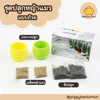 ชุดปลูกหญ้าแมวไม่ต้องใช้ดิน รุ่น Mini Cup 1 กล่อง มี2 ถ้วย