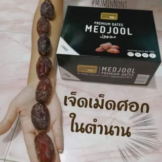 อินทผลัมเมดจูล Medjool อินทผาลัม เมดจูล