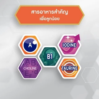 [ยกลัง]นมผง เอนฟาโกร สมาร์ทพลัส รสจืด สูตร 3 สำหรับเด็ก 1 ปีขึ้นไป (หมดอายุ 07/2027)