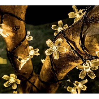 Warm white Solar light 50LED. 8 โหมด 7m. โคมไฟพลังงานแสงอาทิตย์สำหรับตกแต่ง142