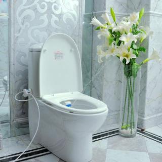 KUKU Bathroom Smart Toilet Seat Bidet Toilet Lid / Ass Flusher Intelligent Toilet Flushing Sanitary