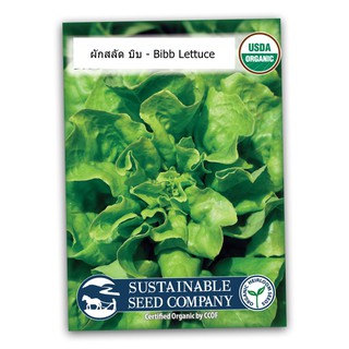 เมล็ด ผักสลัด บิบ - Bibb Lettuce