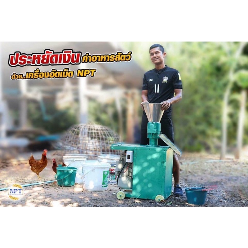 เครื่องอัดเม็ดอาหารสัตว์Npt อัดเม็ดอาหารสัตว์