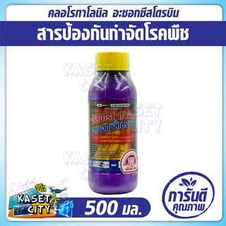 คลอโรทาโลนิล  อะซอกซีสโตรบิน  500 ml. ตราเสือตะวัน  ป้องกัน กำจัดโรคใบกาบแห้งในข้าว จากเชื้อรา (เชื้อรา ข้าว) ปุ๋ยยา